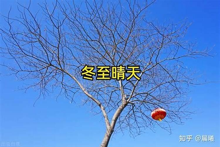 冬至谚语农谚