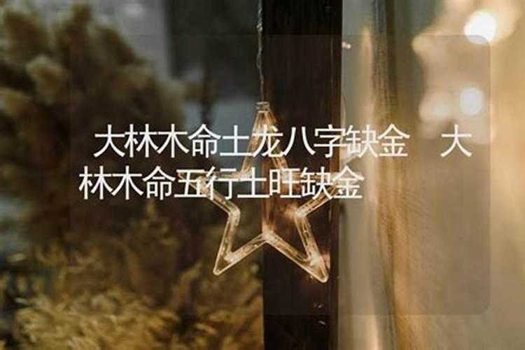 乙亥年生山头火命