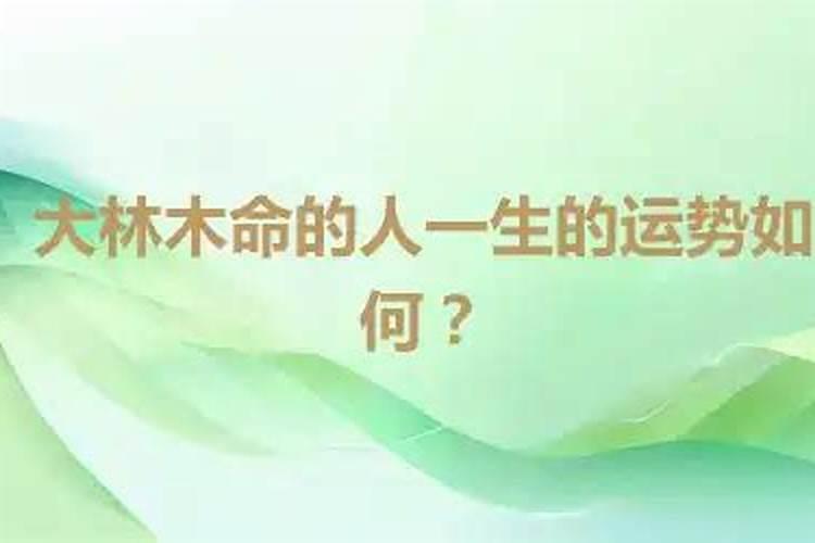 八字最旺的人是什么命