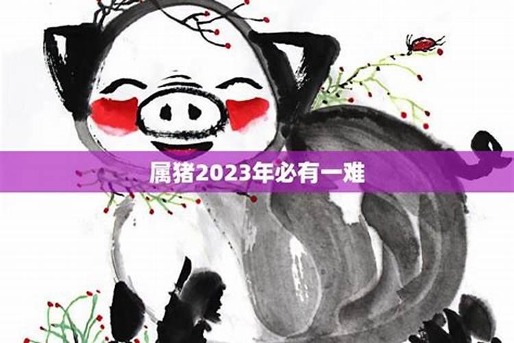 71年属猪人2025年运势