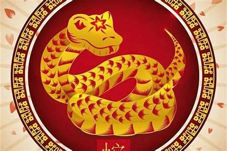 1965年属蛇的狮子在兔年运势怎么样