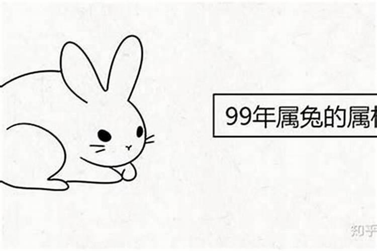 属鼠的人2025年运势及运程