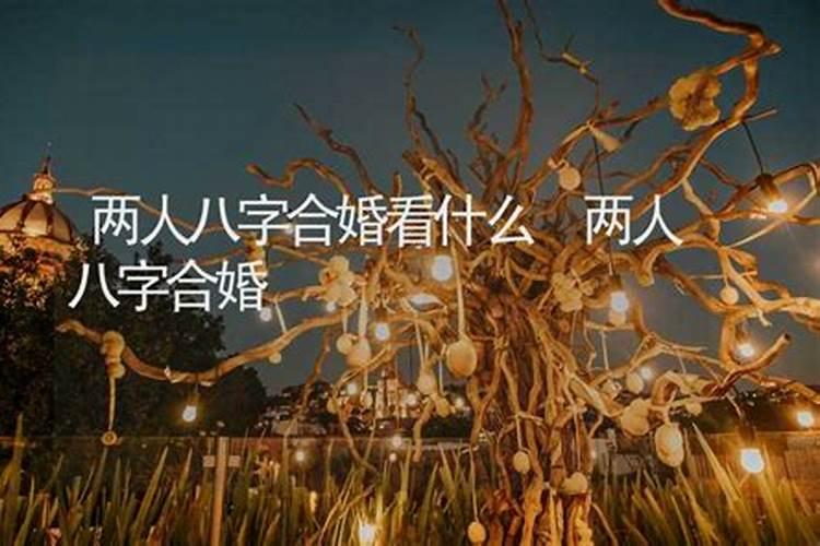 1977年属蛇人未来十年运势