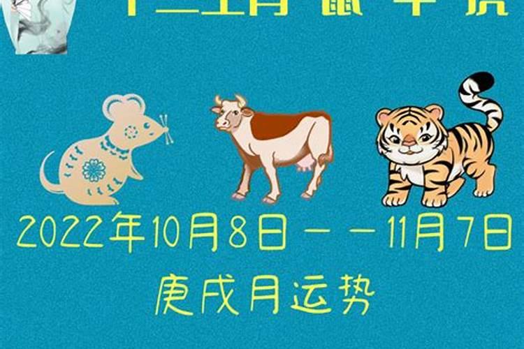 属鼠一到十二月运势