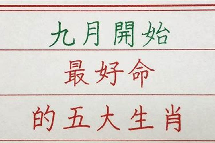 属马的哪些年份犯太岁 属马人今年怎么化解太岁