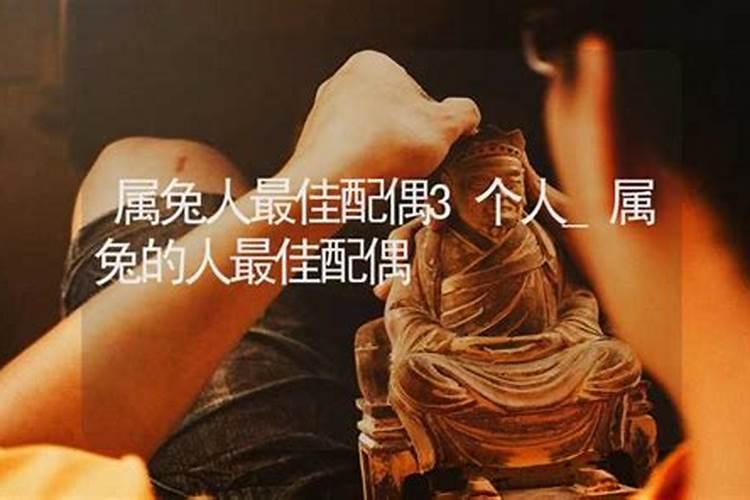生肖兔1987年出生2025几岁了