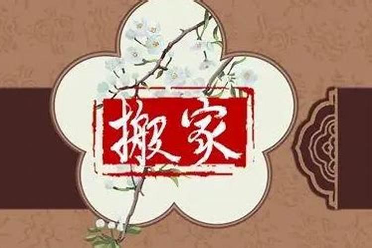 95年猪2025年运势
