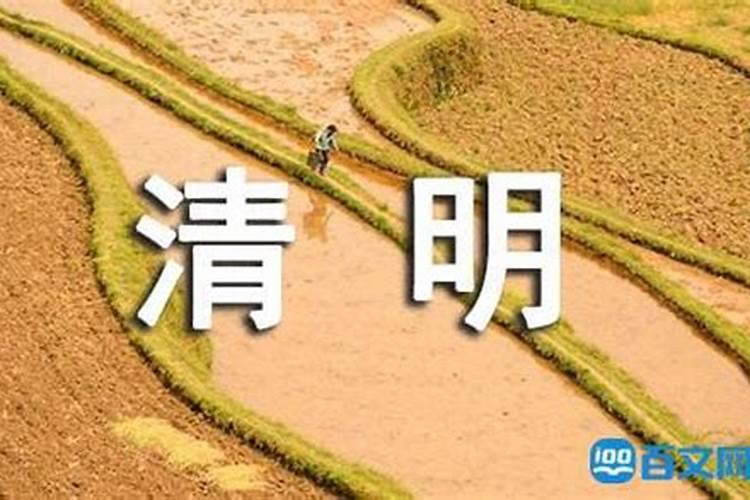 2025羊人全年运势如何
