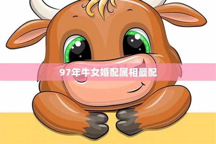属牛的最好的配偶是什么属相？