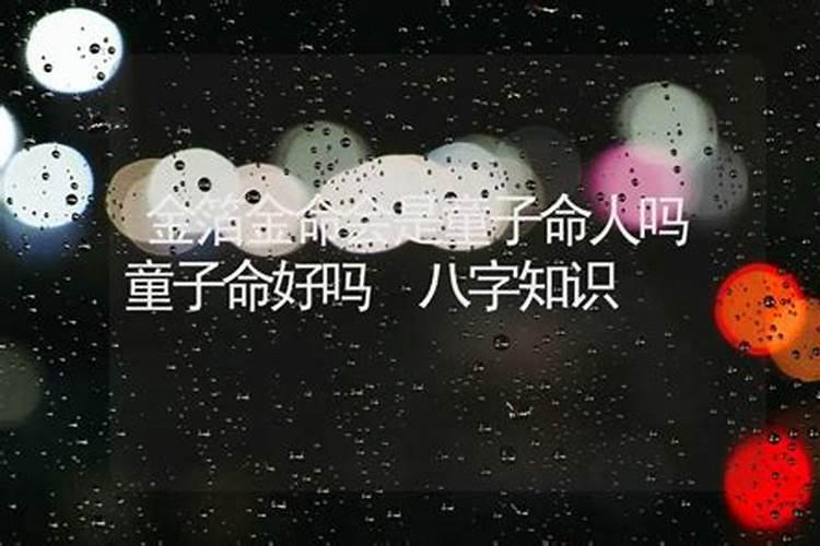 93年属鸡人2025年运势如何