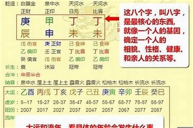 丙辰年壬辰月乙巳日戊寅时八字精解？