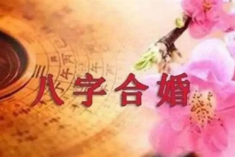 属鸡12月份出生的命运怎么样