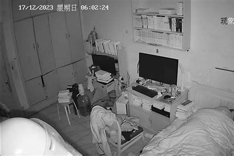 本命年犯太岁什么意思