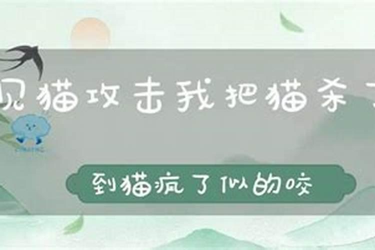 死人请道士先生是什么意思