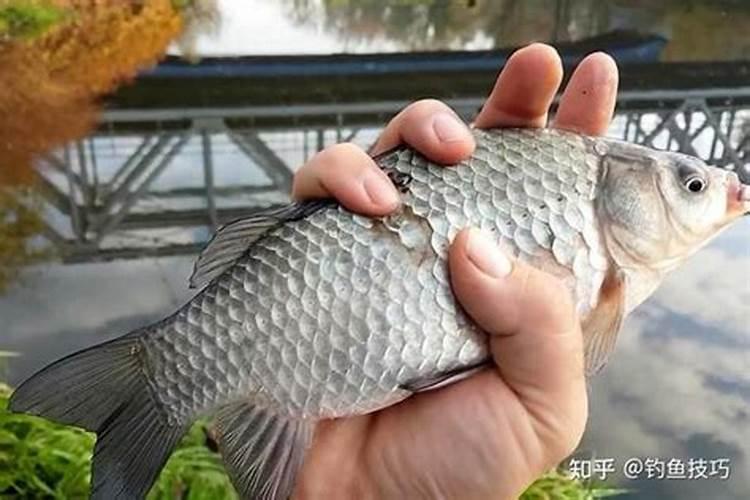 梦见自己的手上流血的预兆