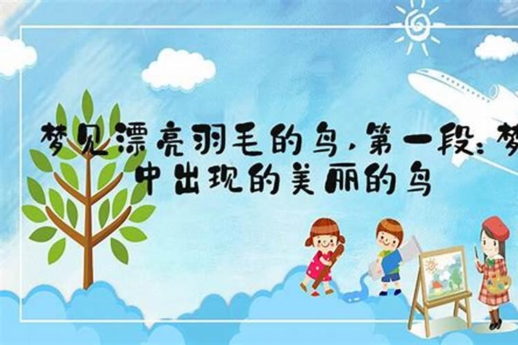 梦见很漂亮的鸟的预兆