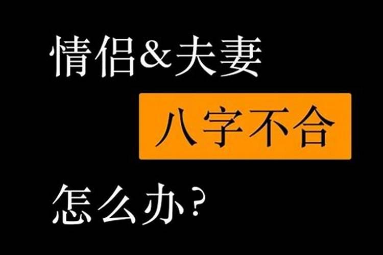 梦见好多老鼠在屋里乱跑