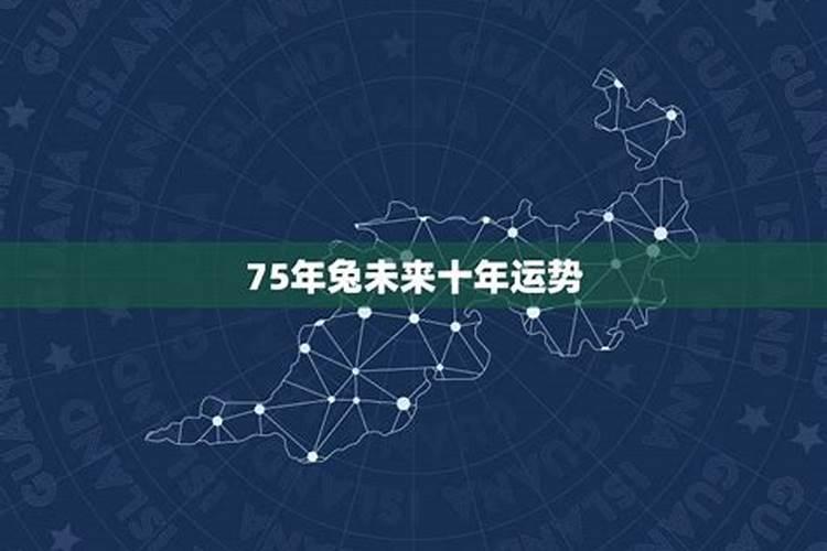2025年1975年属兔男运程