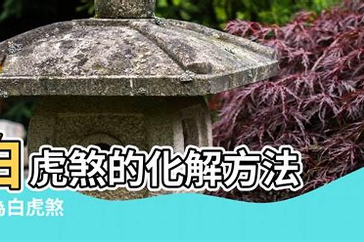 一九九0年正月初二五时出生应该属什么？命运如何？