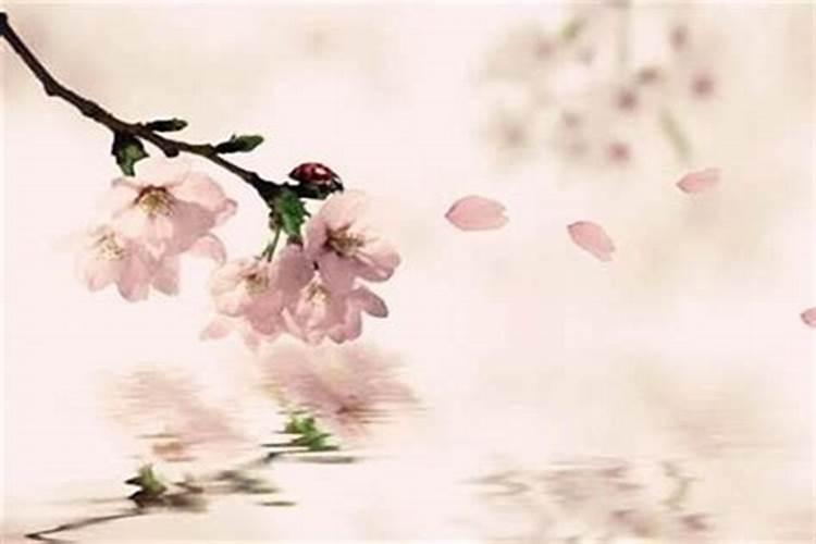 轻松看懂八字中的桃花爱情运？