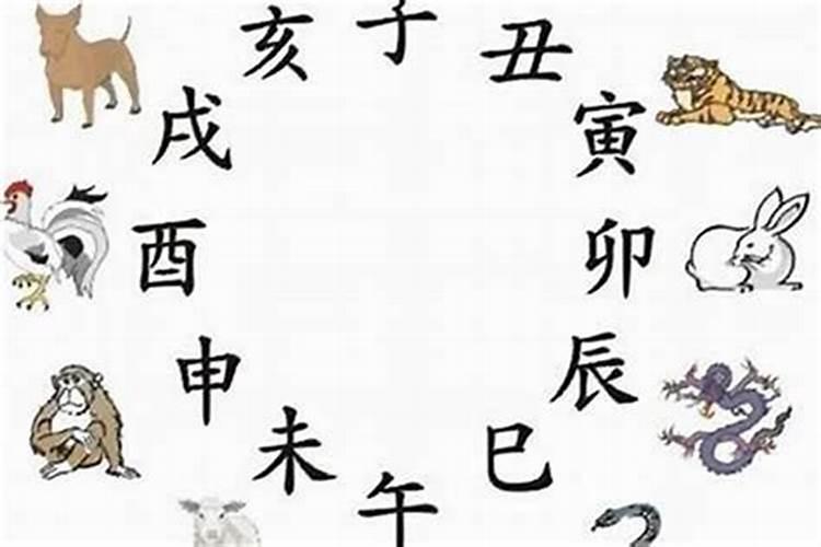 82年属狗人2025运势运程