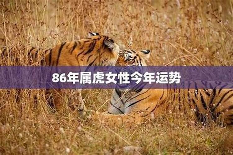 属鸡2025年的运势及运程