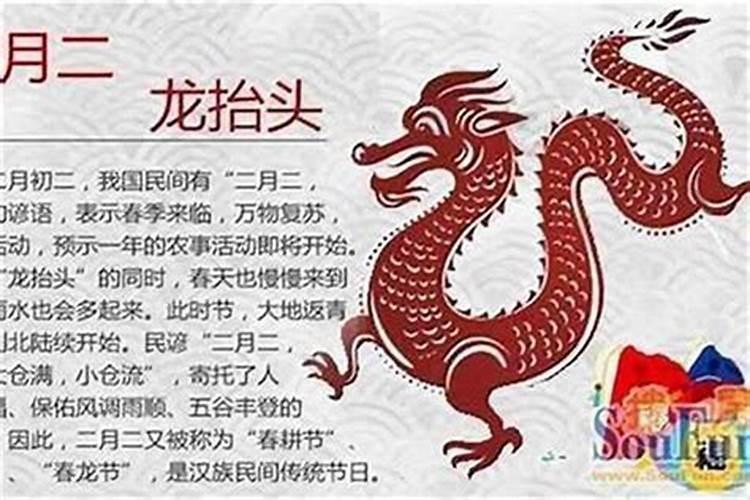 重阳节怎么庆祝是为了庆祝什么