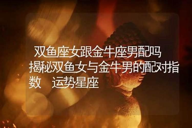 金牛座女和双鱼座男配吗