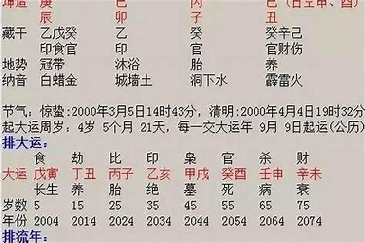 【觉悟传统文化《周易》(25)】——四柱﻿﻿八字