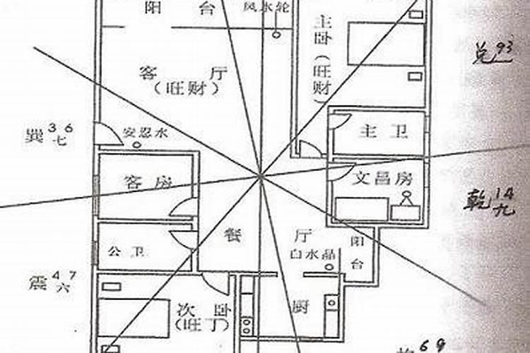 痣相学中脚部痣相图解大全