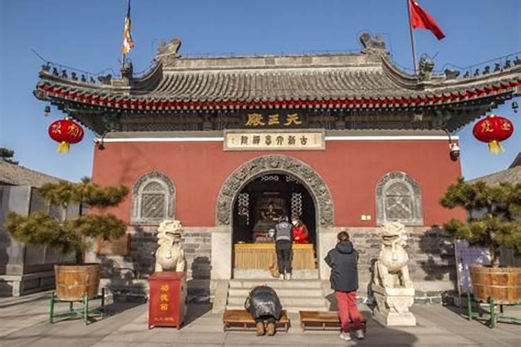 2025属羊几月有一难