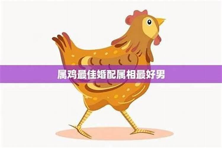 属鸡的属相婚配表是怎样的？