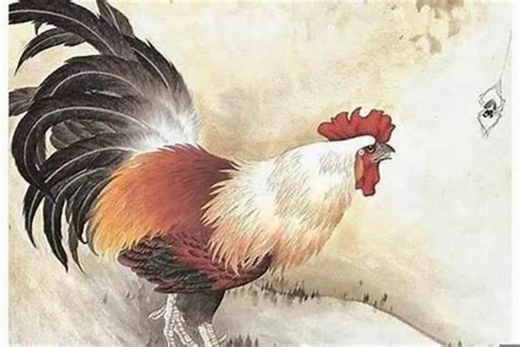 属鸡婚配什么属相最好