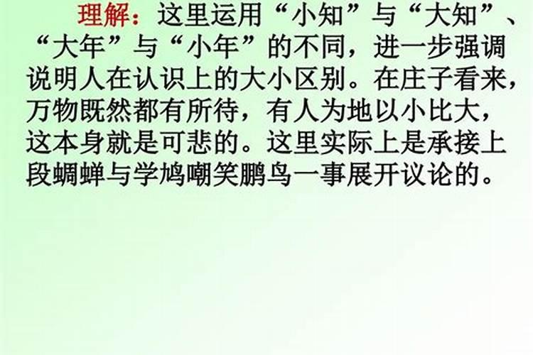 梦见许多乌龟死了