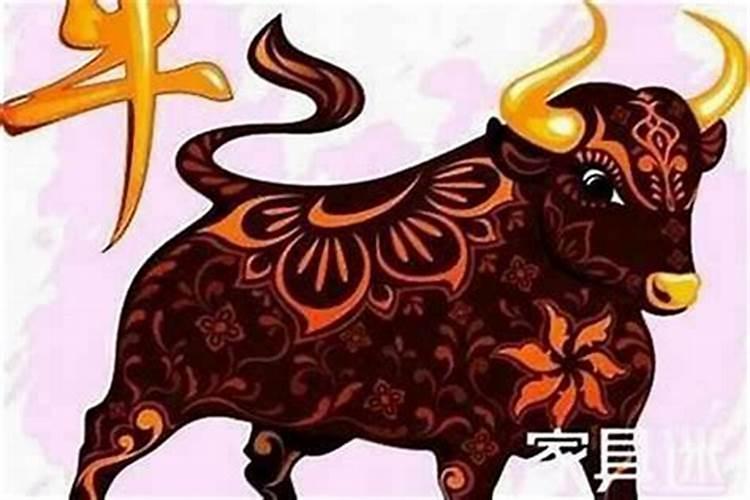 牛年本命年财运不好怎么办,属牛本命年不顺怎么破解