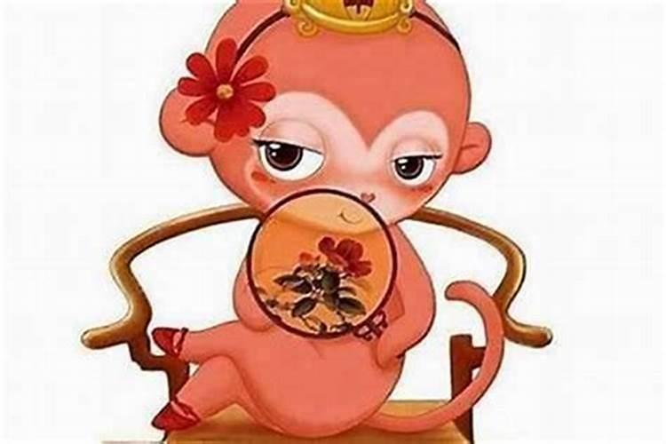 泸州一日游去哪里好玩