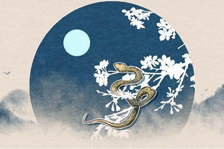 65年出生蛇女今年怎么样运势