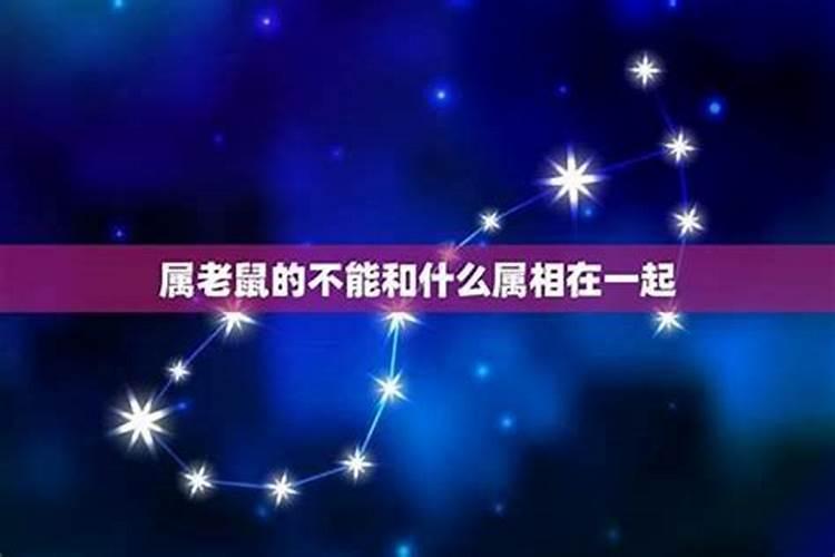 属鼠和属羊合婚不合,八字合婚如果不合可以补救吗