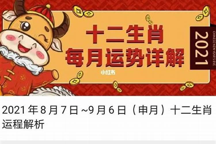 属猪人2024运势及运程完整版 属猪2024年运势及每月运程详解