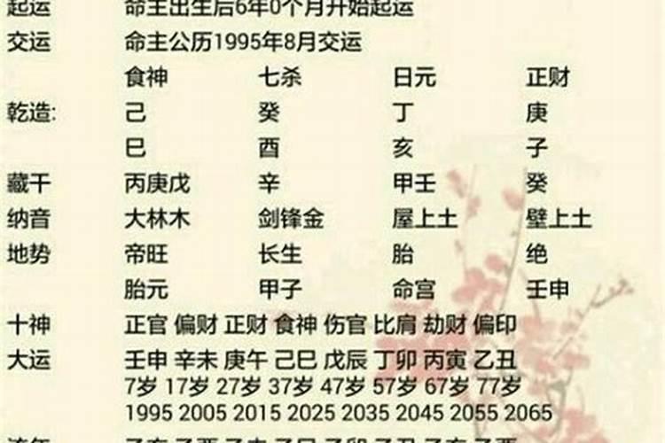 属蛇的人在2025年运程如何？