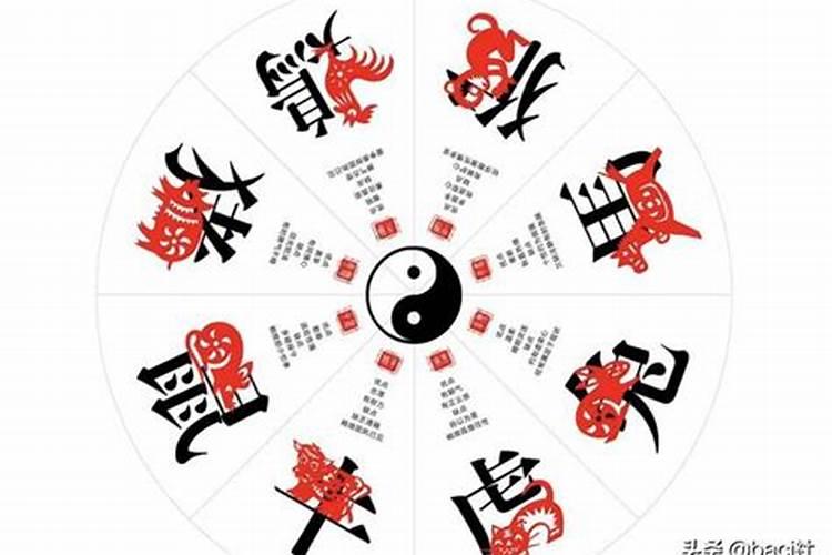 金木水火土婚配一览表