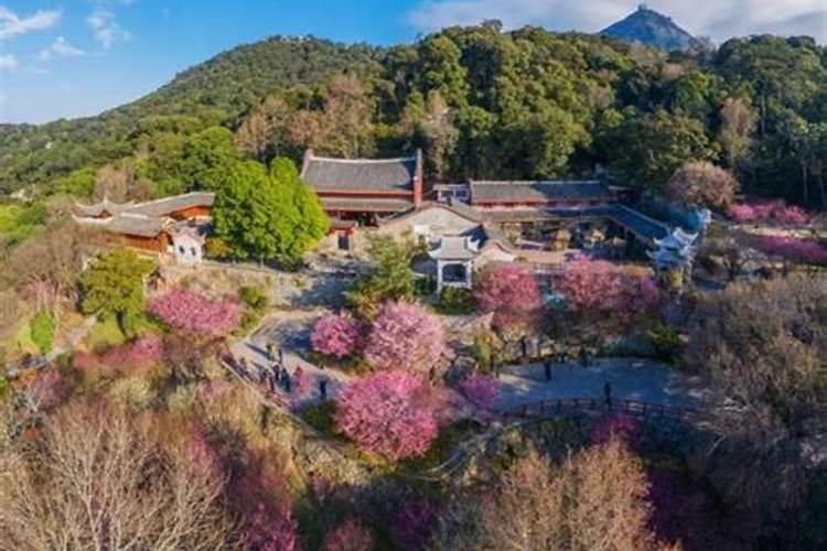 2025年请明节哪天上坟最好