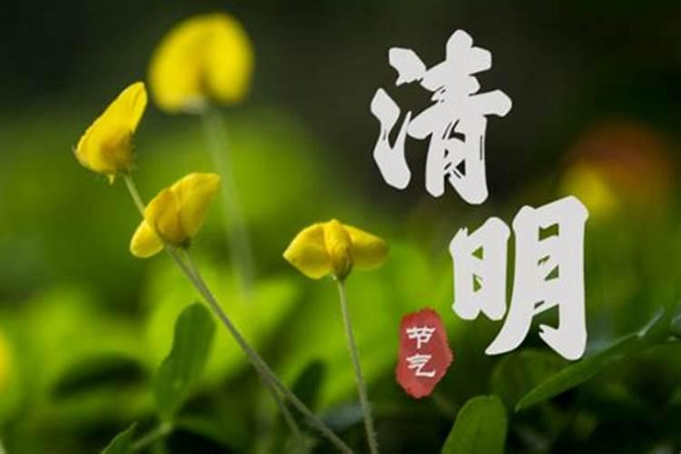 想请您帮忙看一下紫薇命盘 八字是 丁巳 丙午 丙午 己丑 是什么命格...
