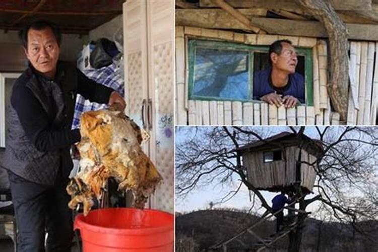 捡到太岁符是好事吗