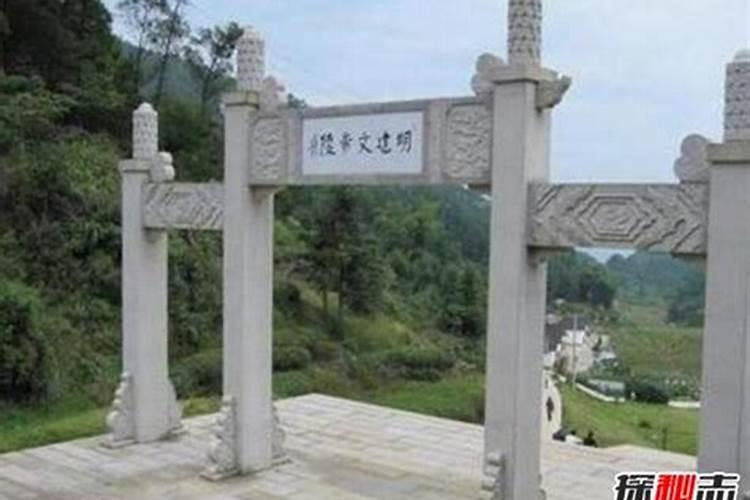 佛教的爱心？