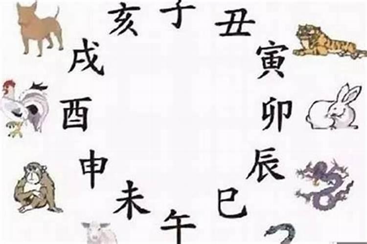 在鼠年犯太岁、冲太岁、刑太岁和害太岁要注意些什么？