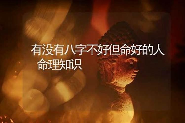 2025年一月属什么