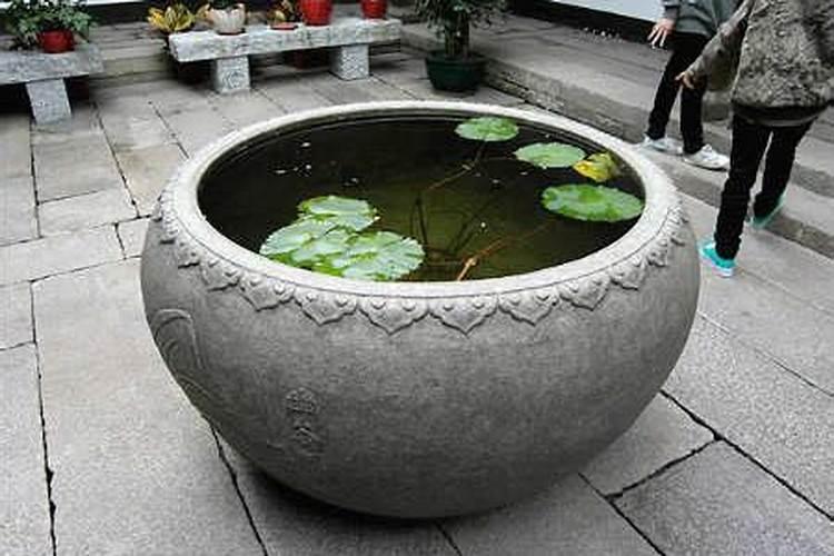 水缸放什么位置最旺