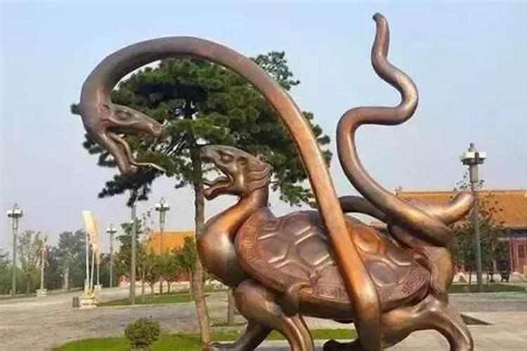 孕妇梦见蛇和乌龟同时出现预示着什么