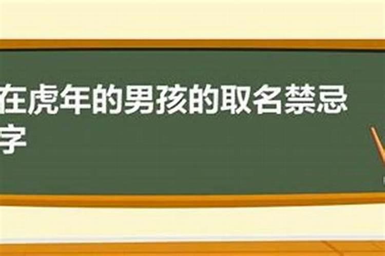 属兔的2025年运势